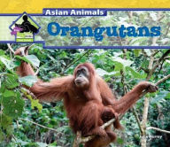 Title: Orangutans, Author: Julie Murray