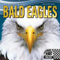 Title: Bald Eagles, Author: Sheila Griffin Llanas