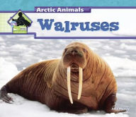 Title: Walruses, Author: Julie Murray