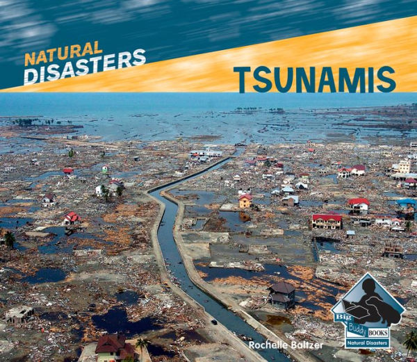 Tsunamis eBook