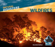 Title: Wildfires eBook, Author: Rochelle Baltzer