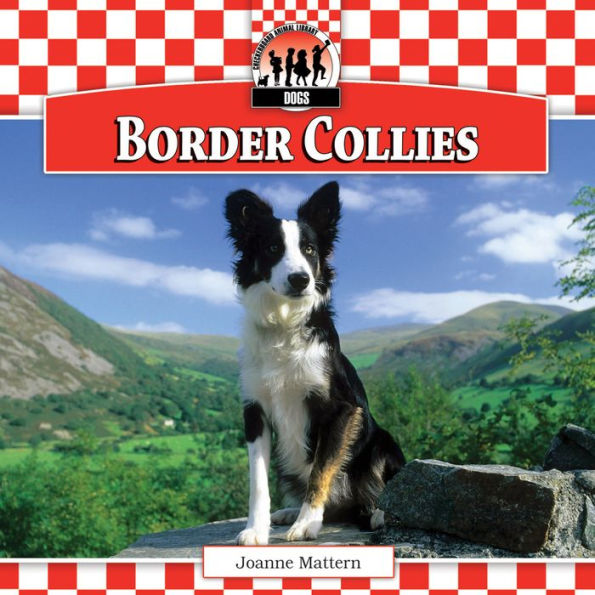 Border Collies eBook