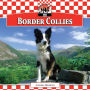 Border Collies eBook