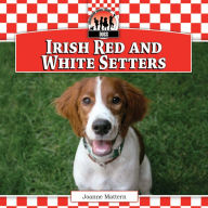 Title: Irish Red and White Setters eBook, Author: Joanne Mattern