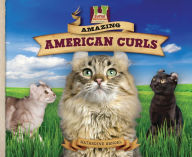 Title: Amazing American Curls eBook, Author: Katherine Hengel