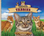 Terrific Tabbies eBook