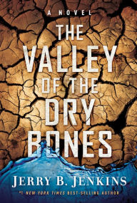Title: The Valley of Dry Bones: A Novel, Author: Jerry B. Jenkins