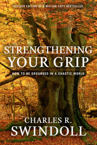 Strengthening Your Grip: How to Be Grounded in a Chaotic World