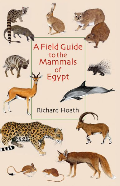 A Field Guide to the Mammals of Egypt