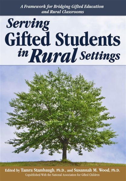 Serving Gifted Students in Rural Settings / Edition 1