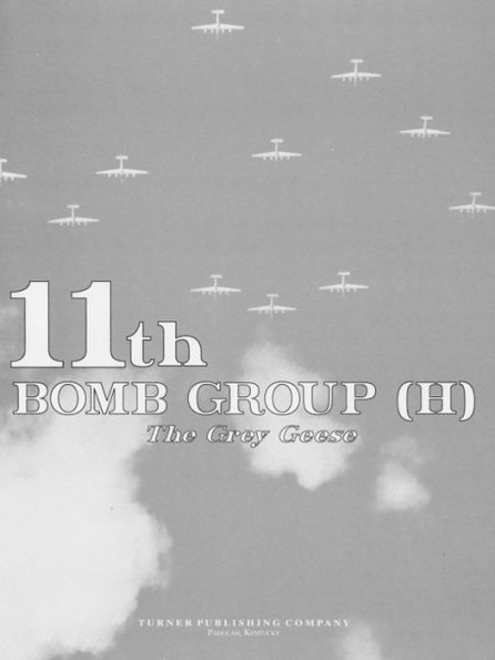 11th Bomb Group (H): The Grey Geese