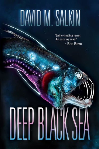 Deep Black Sea by David M. Salkin | eBook | Barnes & Noble®