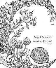Title: Lady Churchill's Rosebud Wristlet No. 40, Author: Kelly Link