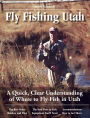 Fly Fishing Utah: A Quick, Clear Understanding of Where to Fly Fish in Utah