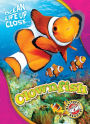 Clownfish