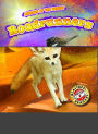 Fennec Foxes