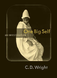Title: One Big Self, Author: C. D. Wright