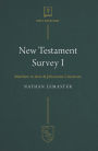 New Testament Survey I: Matthew to Acts & Johannine Literature