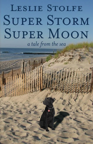 Super Storm Moon: A Tale from the Sea