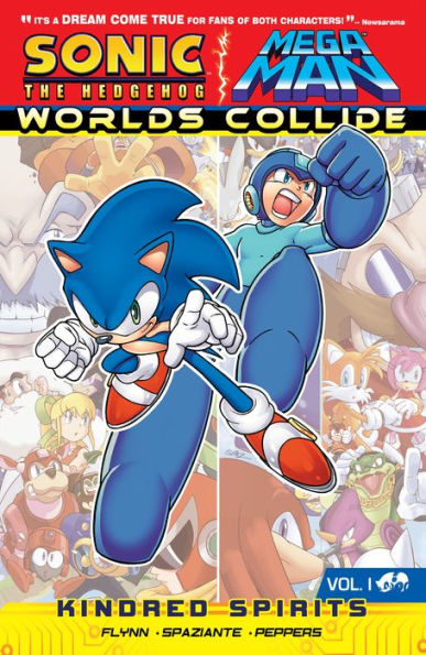 Sonic / Mega Man: Worlds Collide 1