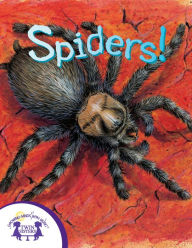 Title: Know-It-Alls! Spiders, Author: Christopher Nicholas