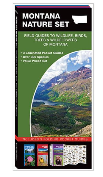 Montana Nature Set: Field Guides to Wildlife, Birds, Trees & Wildflowers of Montana