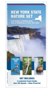 Title: New York State Nature Set: Field Guides to Wildlife, Birds, Trees & Wildflowers of New York State, Author: James Kavanagh Waterford Press