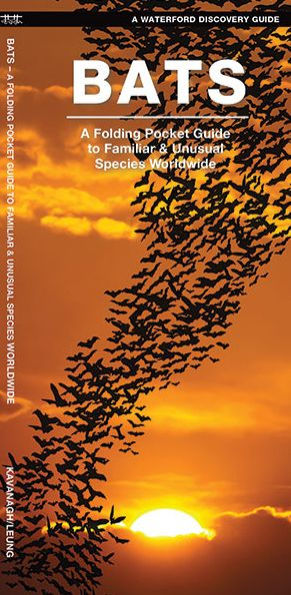 Bats: A Folding Pocket Guide to Familiar & Unusual Species Worldwide