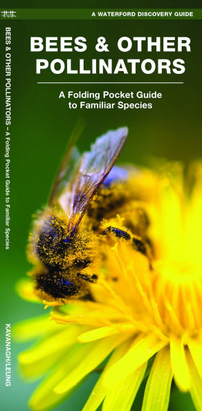 Bees & Other Pollinators: A Folding Pocket Guide to Familiar Species