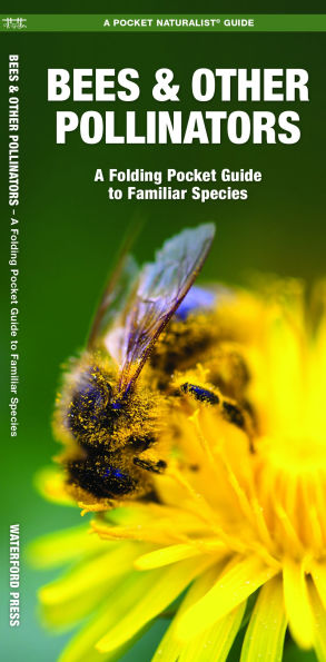 Bees & Other Pollinators: A Folding Pocket Guide to Familiar Species