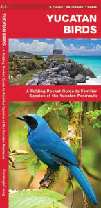 Title: Yucatan Birds: A Folding Pocket Guide to Familiar Species of the Yucatan Peninsula, Author: James Kavanagh