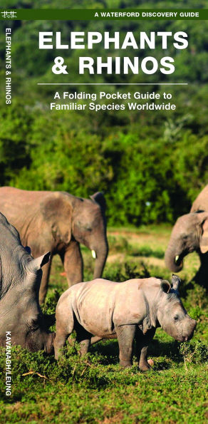 Elephants & Rhinos: A Folding Pocket Guide to the Status of Familiar Species