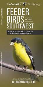 Title: Feeder Birds of the Southwest, Author: The  Cornell Lab of Ornithology