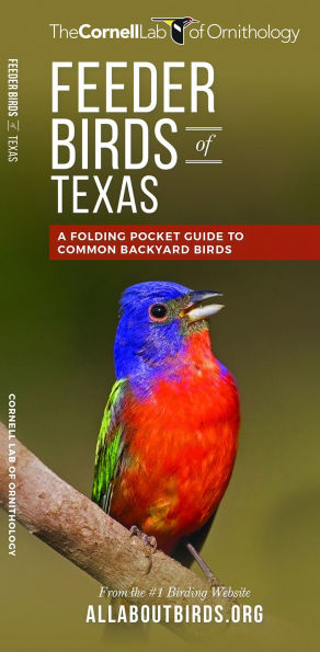 Feeder Birds of Texas: A Folding Pocket Guide to Common Backyard Birds