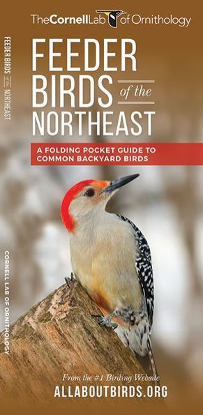 Feeder Birds of the Northeast: A Folding Pocket Guide to Common Backyard Birds