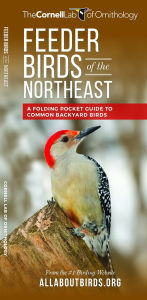 Title: Feeder Birds of the Northeast: A Folding Pocket Guide to Common Backyard Birds, Author: The  Cornell Lab of Ornithology