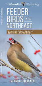 Title: Feeder Birds of the Northeast, Author: The  Cornell Lab of Ornithology