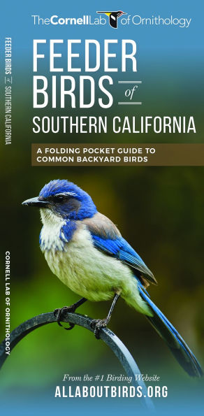 Feeder Birds of Southern California: A Folding Pocket Guide to Common Backyard Birds