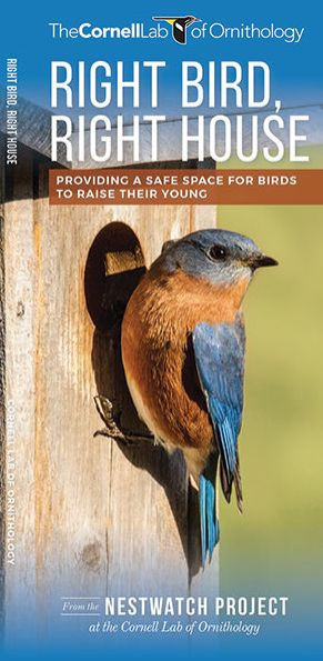 Right Bird, Right House: Providing a Safe Space for Birds to Raise Their Young
