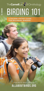 Title: Birding 101, Author: The  Cornell Lab of Ornithology