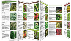 Alternative view 2 of Gardening for Birds