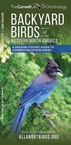 Backyard Birds of Western North America: A Folding Pocket Guide to Common Backyard Birds