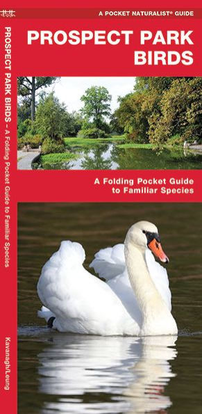 Prospect Park Birds: A Folding Pocket Guide to Familiar Species