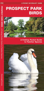 Title: Prospect Park Birds, Author: James Kavanagh Waterford Press