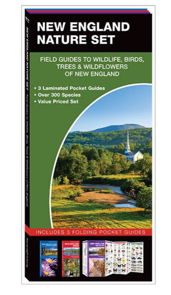 New England Nature Set: Field Guides to Wildlife, Birds, Trees & Wildflowers of New England