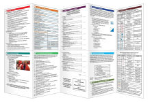 Alternative view 2 of Initial Actions for Search & Rescue Missions