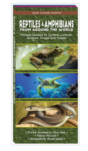 Title: Reptiles & Amphibians From Around the World: Pocket Guides to Turtles, Lizards, Snakes, Frogs and Toads, Author: Jeff Corwin