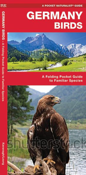 Germany Birds: A Folding Pocket Guide to Familiar Species