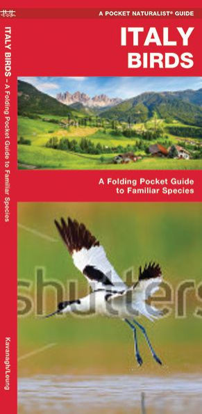 Italy Birds: A Folding Pocket Guide to Familiar Species