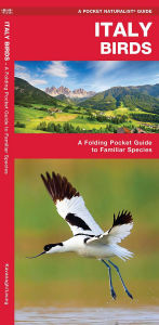 Title: Italy Birds, Author: James Kavanagh Waterford Press